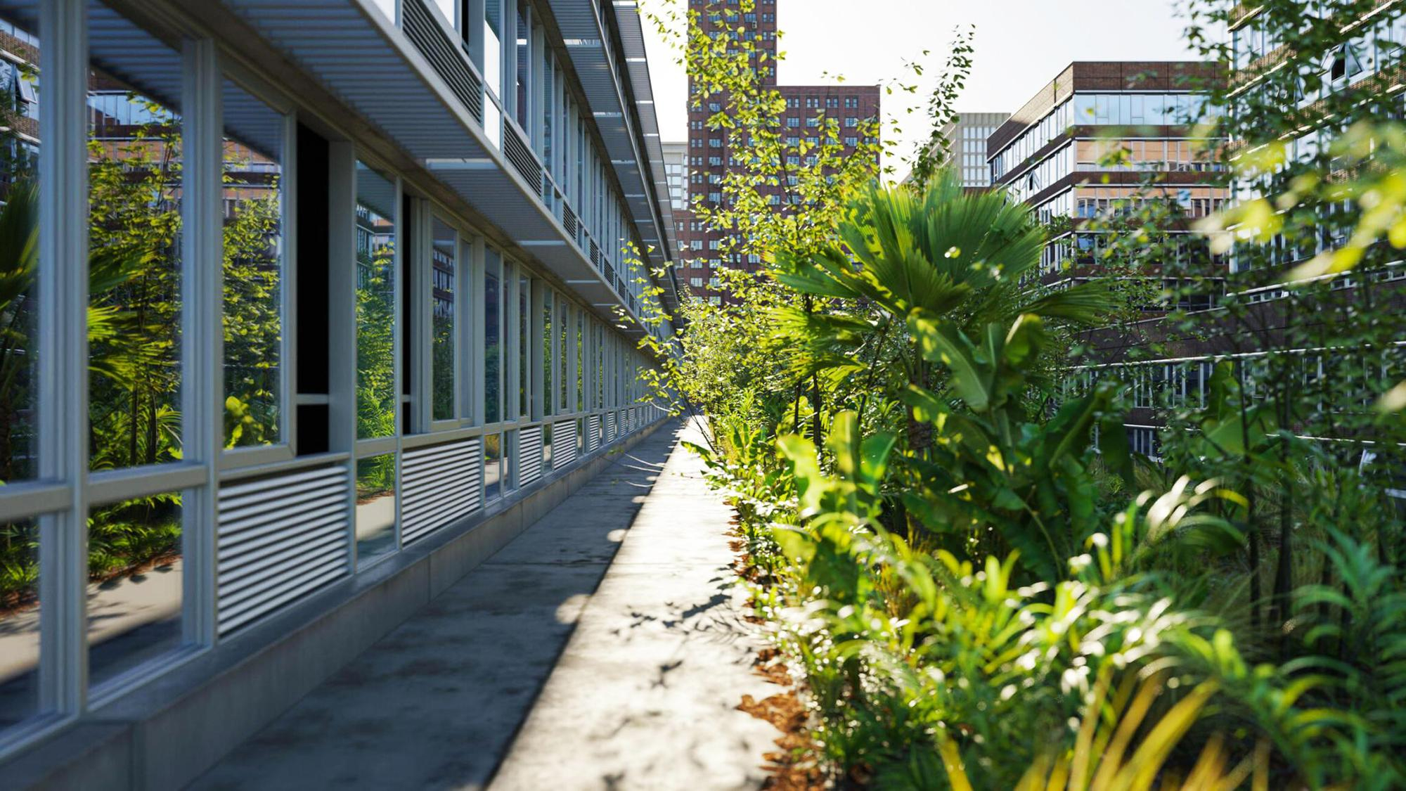 ¿Cómo Escoger Plantas Resistentes para Jardines Urbanos?