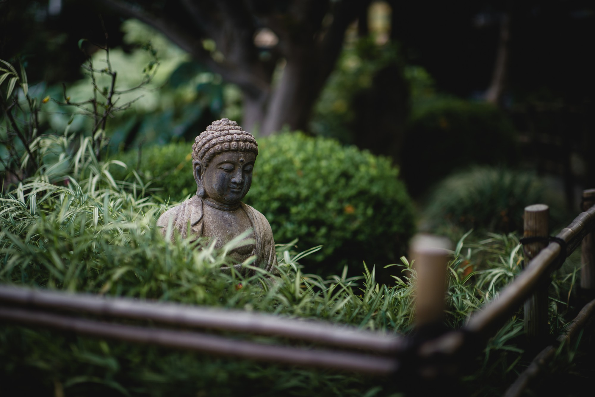 Los Beneficios de los Jardines Zen: Paz y Armonía en tu Hogar